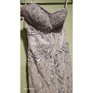 silver/gray formal dress size 6